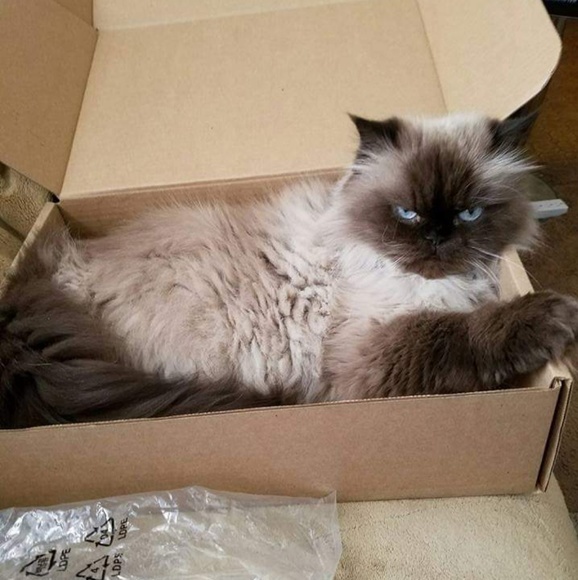 Meet your Posher, John - Picture 6 of 8